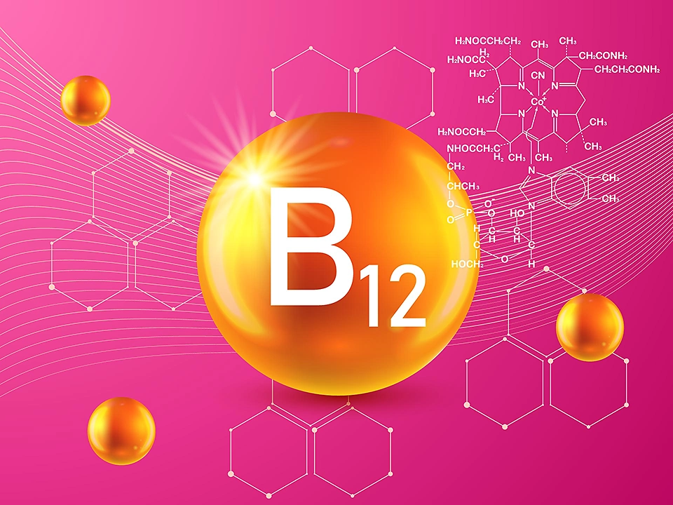 Vitamin B12 – Grafik